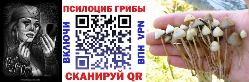 Галлюциногенные грибы прущие грибы  kraken   Юрьевец 